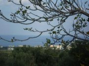 Galatas Kreta, Galatas: Grundstück zu verkaufen - geeignet für kommerzielle Entwicklung Grundstück kaufen